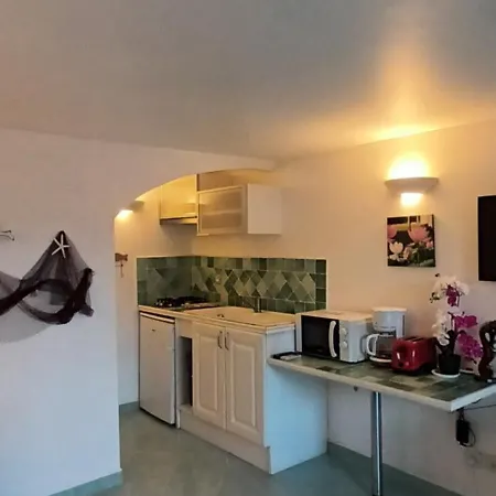 Apartman Joli Clim Au Calme Jardin 200 M Plages